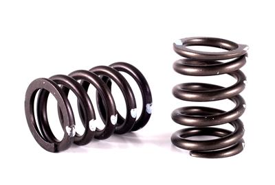 a pair of cylinder head valve springs