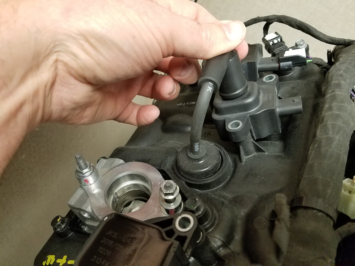 How to Identify a Ford Coyote 5.0L Engine