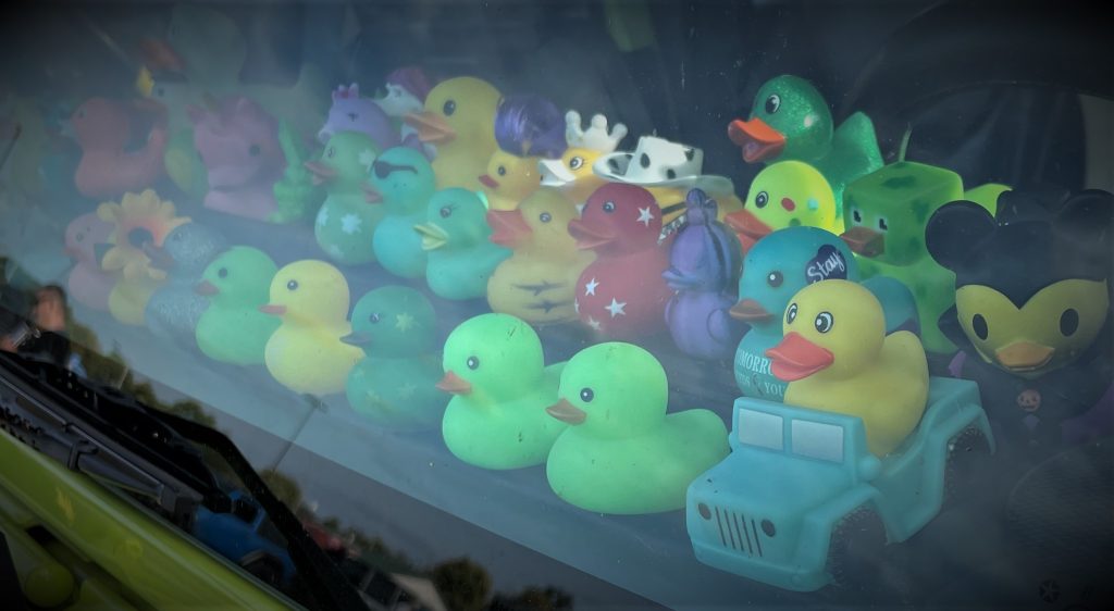 rubber ducks in a Jeep Wrangler window